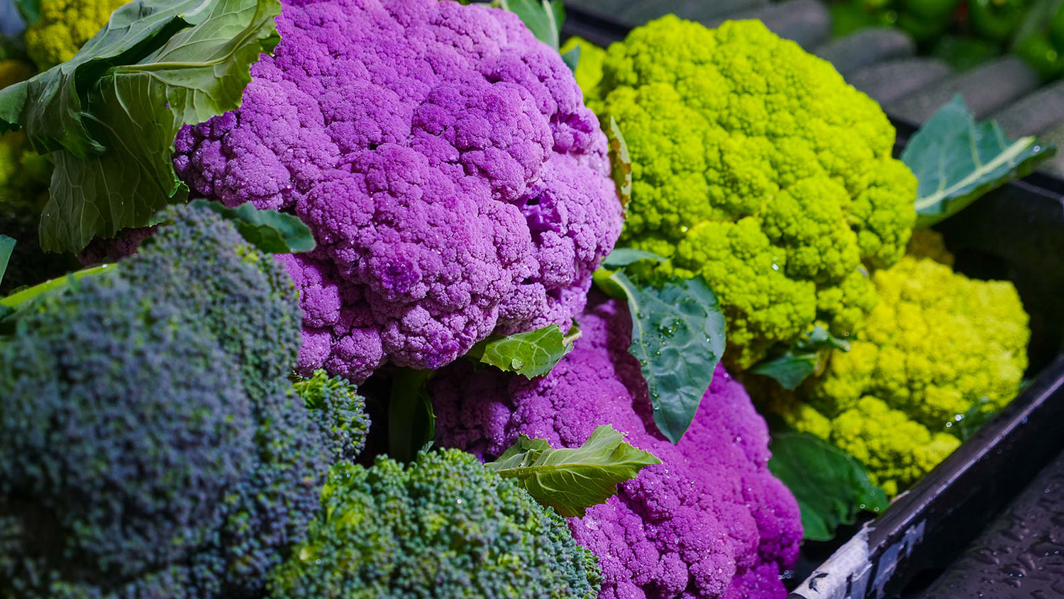 hybrid ingredients 